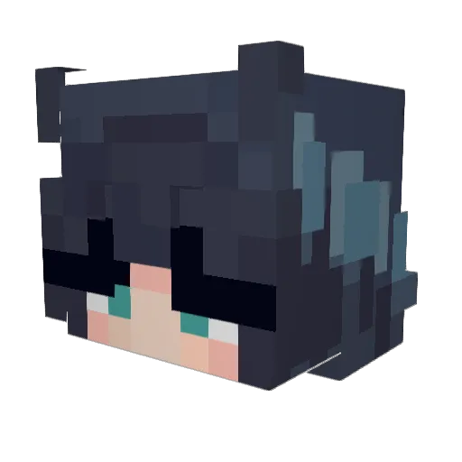 Janae_ Minecraft avatar head, 3D render