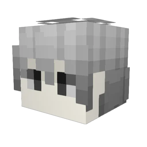 Jancraft77 Minecraft avatar head, 3D render