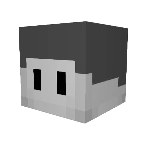 Jander_12 Minecraft avatar head, 3D render