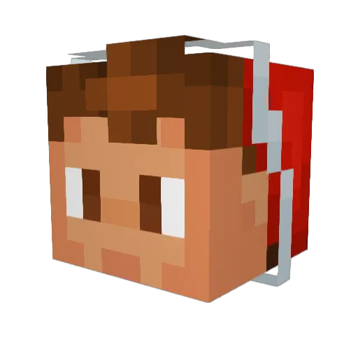 Janderson2009 Minecraft avatar head, 3D render
