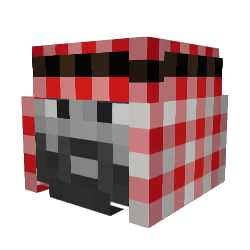 Jandiie4 Minecraft avatar head, 3D render