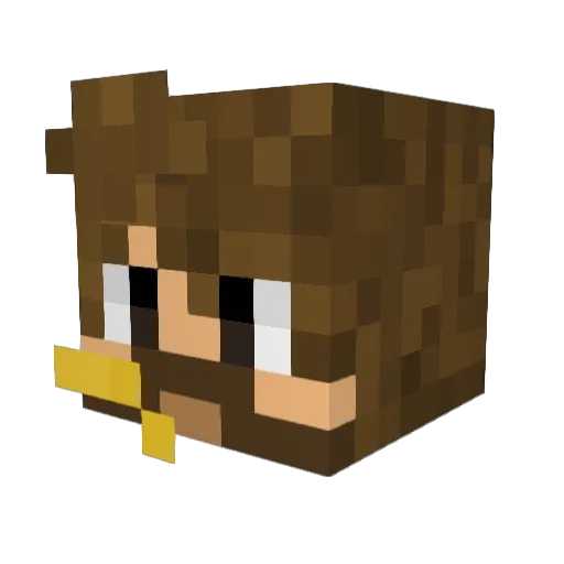 Jandir8079 Minecraft avatar head, 3D render