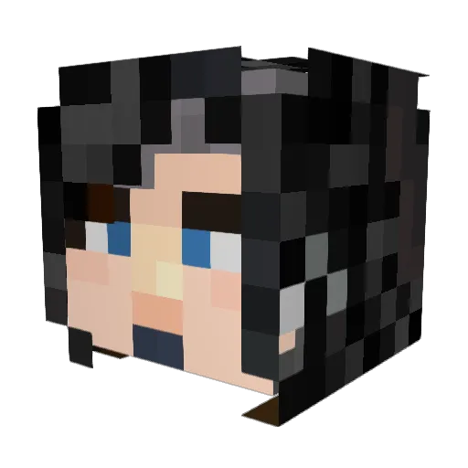 Jandm600 Minecraft avatar head, 3D render