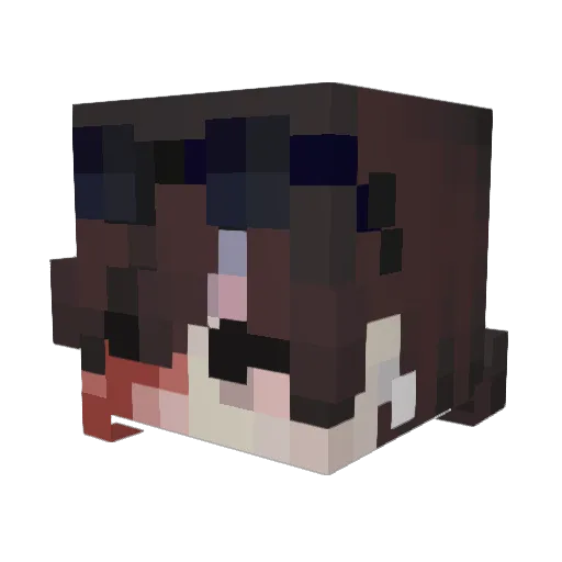 Janduetti Minecraft avatar head, 3D render