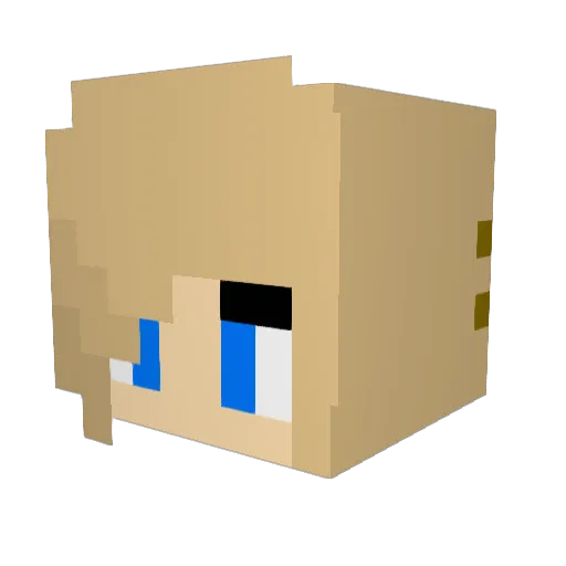 Jane3011 Minecraft avatar head, 3D render