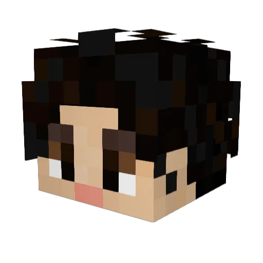JaneBee72 Minecraft avatar head, 3D render