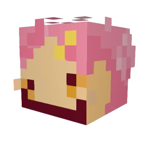 JaneBonBon Minecraft avatar head, 3D render