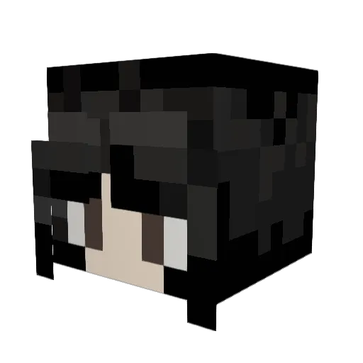 JaneBreakingBad Minecraft avatar head, 3D render