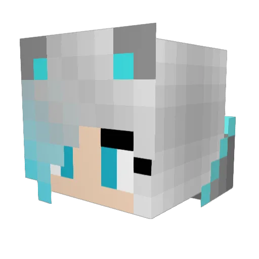 JaneCubic Minecraft avatar head, 3D render