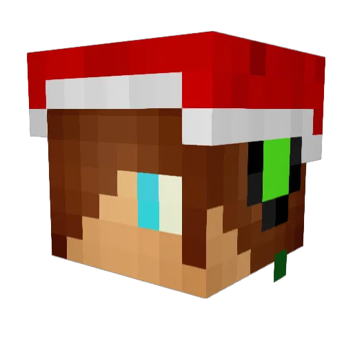 JaneForever Minecraft avatar head, 3D render
