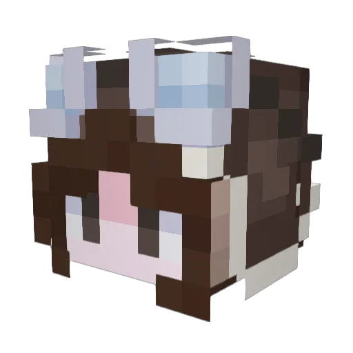 JaneMochi Minecraft avatar head, 3D render