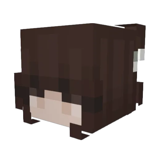 Jane_1307 Minecraft avatar head, 3D render