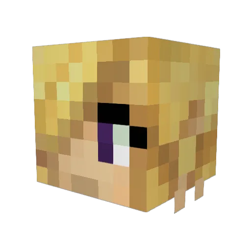 Jane_Creeper Minecraft avatar head, 3D render