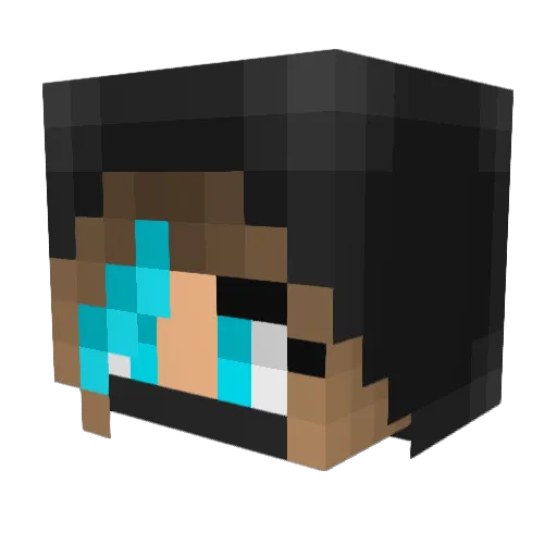 Jane_Doe458 Minecraft avatar head, 3D render