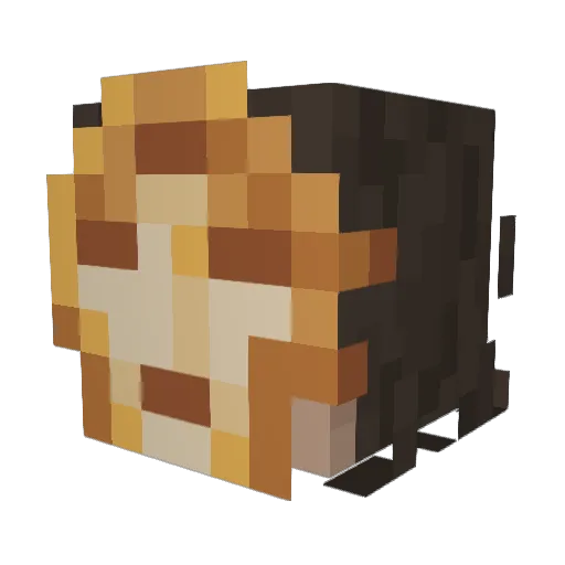 Janeator Minecraft avatar head, 3D render