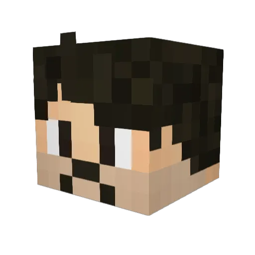 Janebugz Minecraft avatar head, 3D render