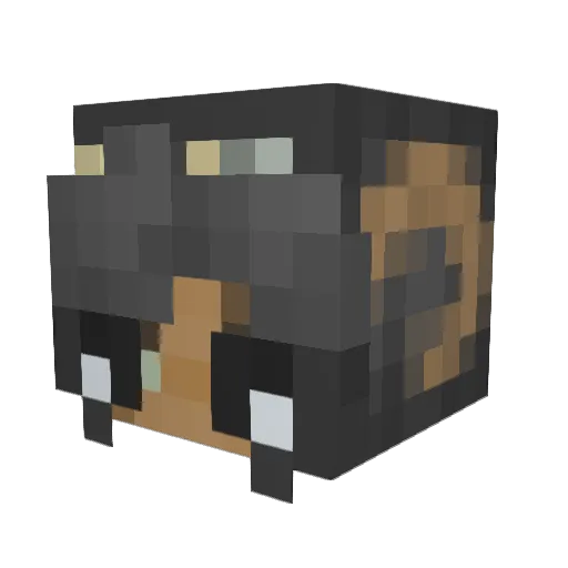 Janece16 Minecraft avatar head, 3D render