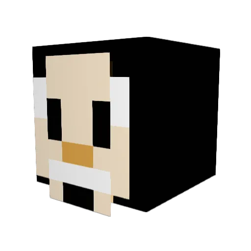 JaneeK_ Minecraft avatar head, 3D render