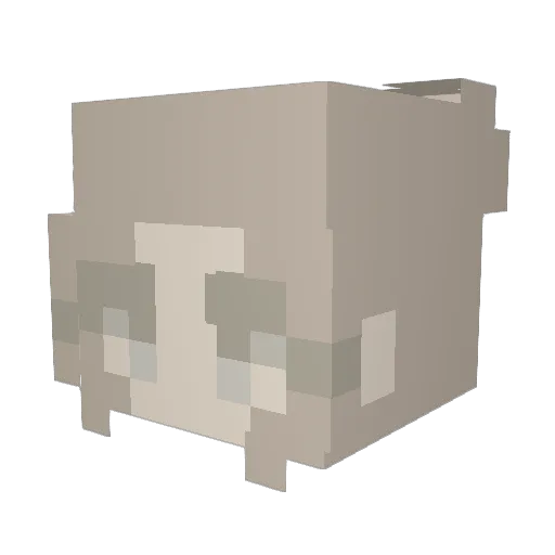 Janeinnit Minecraft avatar head, 3D render