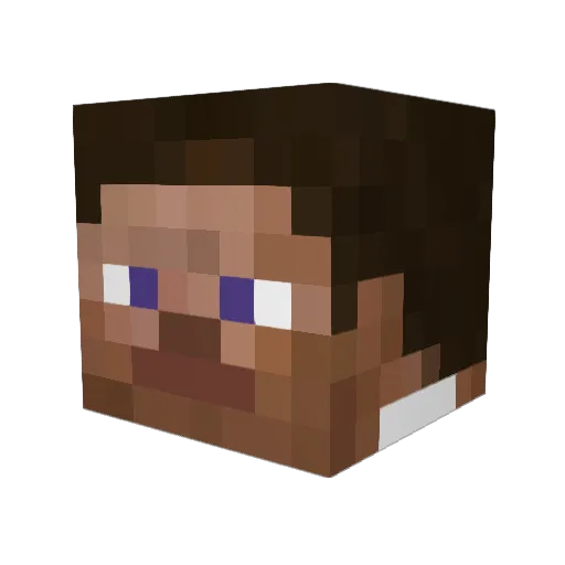 Janek123 Minecraft avatar head, 3D render