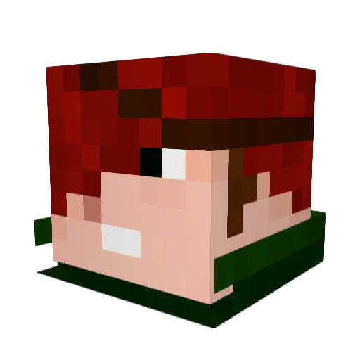 Janek_TW Minecraft avatar head, 3D render