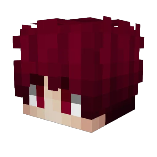 Janek_to_BOT Minecraft avatar head, 3D render