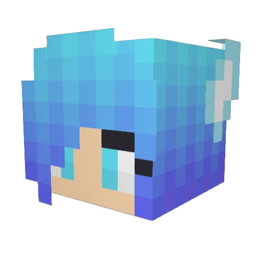 Janelle4920 Minecraft avatar head, 3D render