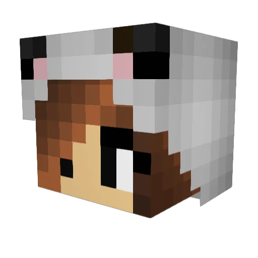 Janellecamo9 Minecraft avatar head, 3D render
