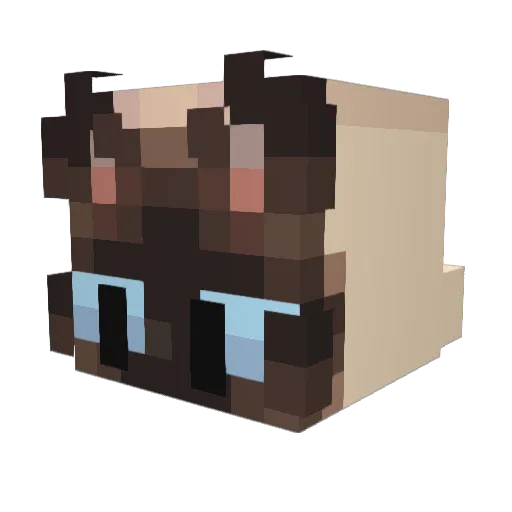 JaneruChan Minecraft avatar head, 3D render