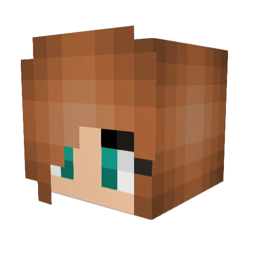 Janeway46 Minecraft avatar head, 3D render