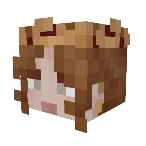 JaneyCrockpot Minecraft avatar head, 3D render