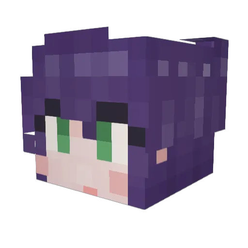 Jang_99 Minecraft avatar head, 3D render