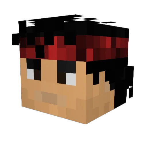 Jangamer2005 Minecraft avatar head, 3D render
