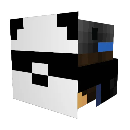 Jangergang Minecraft avatar head, 3D render