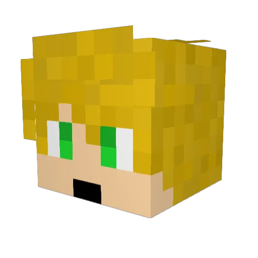 Janggay Minecraft avatar head, 3D render