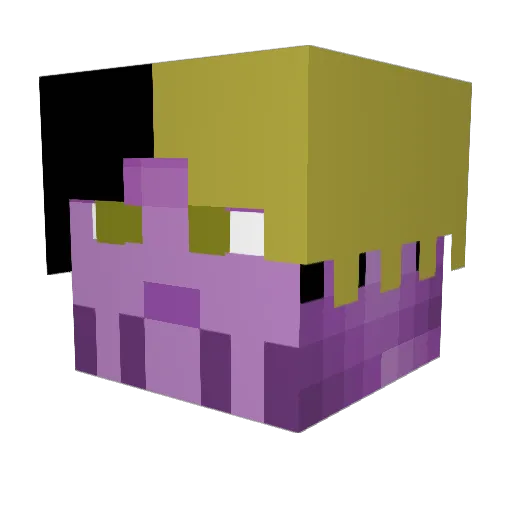 Jangle_Crafter Minecraft avatar head, 3D render
