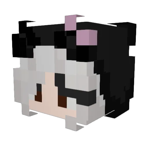 Jangmi123 Minecraft avatar head, 3D render
