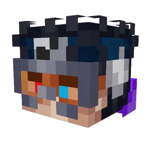 Jani12345678 Minecraft avatar head, 3D render