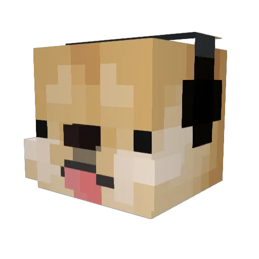 JaniBanani008 Minecraft avatar head, 3D render