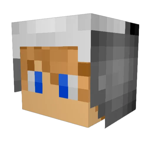JaniG12 Minecraft avatar head, 3D render