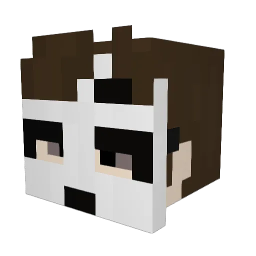 JaniJamz Minecraft avatar head, 3D render