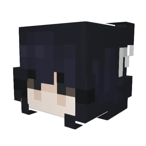 Jani_babe Minecraft avatar head, 3D render