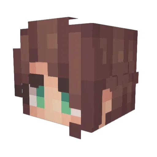 Janibaum Minecraft avatar head, 3D render