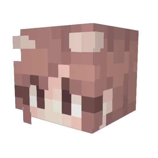Janica6352 Minecraft avatar head, 3D render