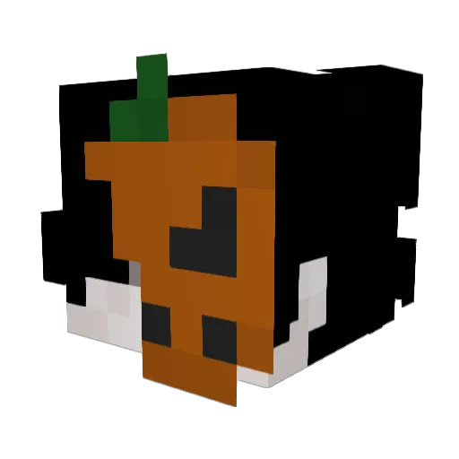 Janicki_lol Minecraft avatar head, 3D render