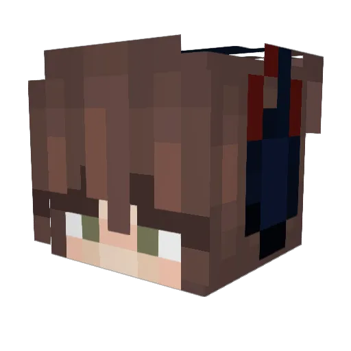 Janiis66 Minecraft avatar head, 3D render