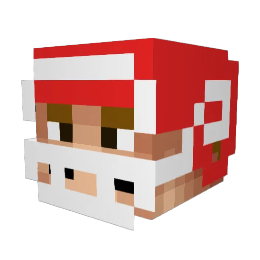 Janik_du Minecraft avatar head, 3D render