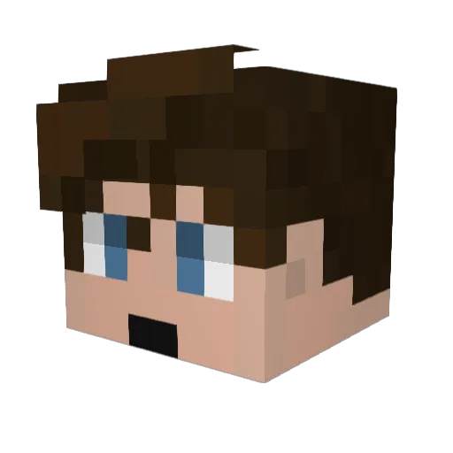 JanikosWolf Minecraft avatar head, 3D render
