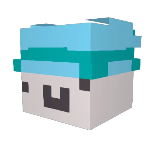 Janilol111 Minecraft avatar head, 3D render