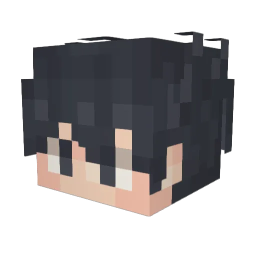 Janin121 Minecraft avatar head, 3D render